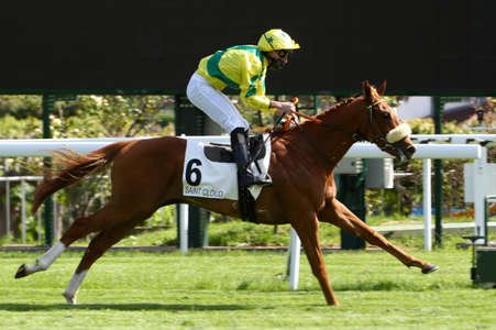 Guide du pari simple PMU