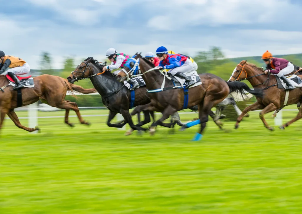 Pronostic quinté PMU Prix haut de france