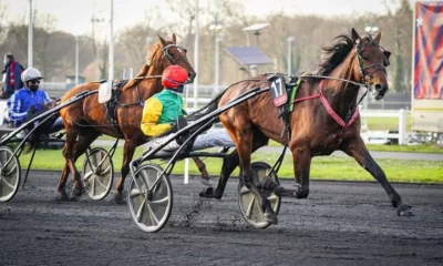 pronostic quinté 1er juillet