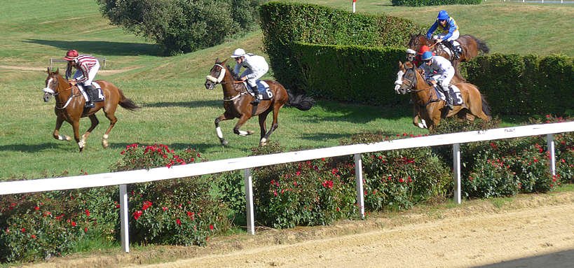 pronostic quinté 24 juin