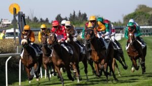 Pronostic quinté 25 juin