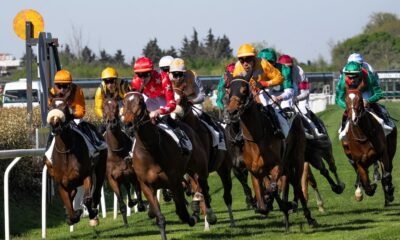 Pronostic quinté 25 juin