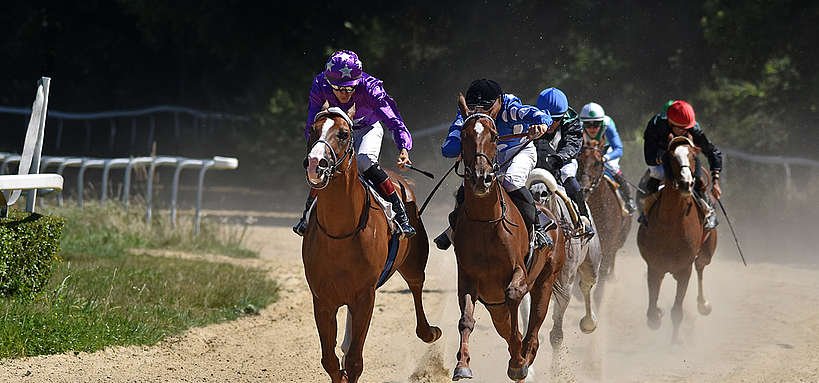 pronostic quinté 26 juin