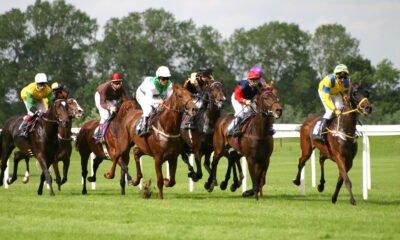 pronostic quinté 27 juin