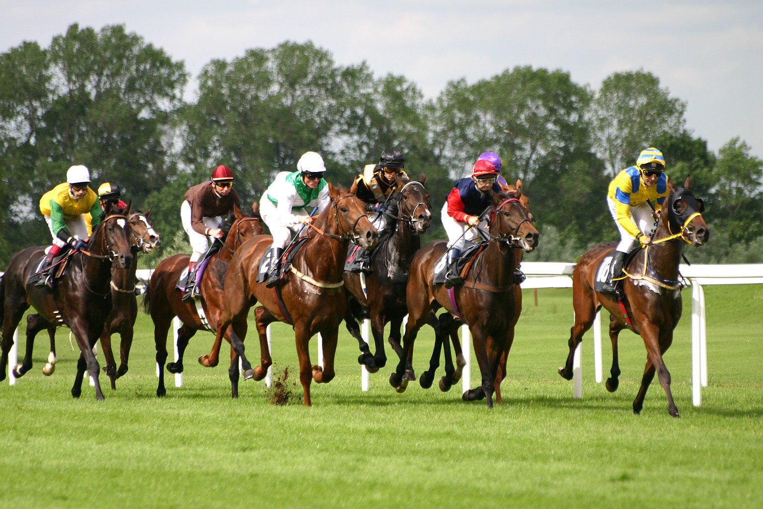 pronostic quinté 27 juin