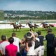 Meeting de deauville 2025 favoris