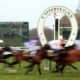 Pronostic quinté compiegne
