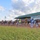pronostic quinté cabourg