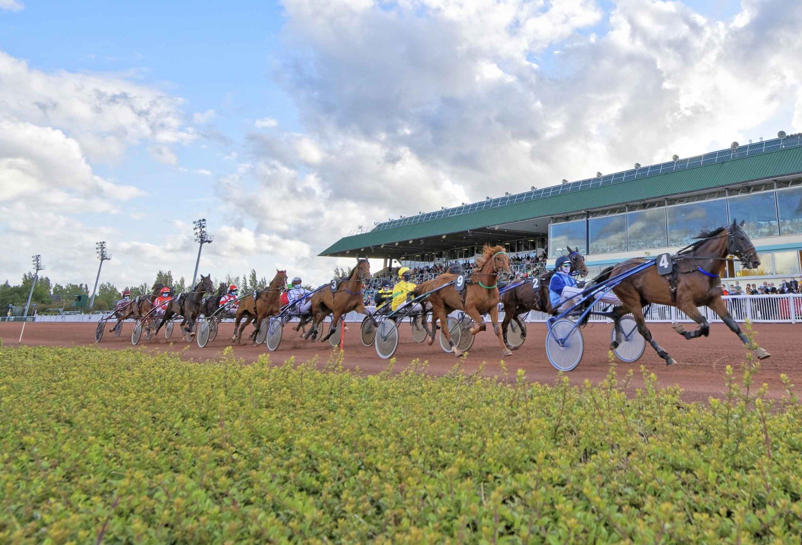 pronostic quinté cabourg