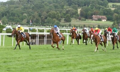 Pronostic quinté clairefontaine