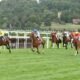 Pronostic quinté clairefontaine