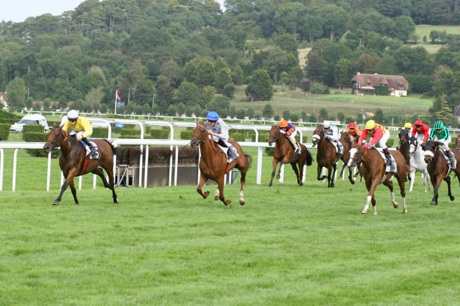 Pronostic quinté clairefontaine