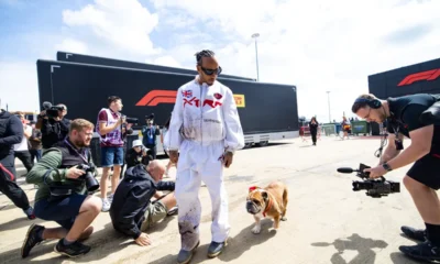 Lewis hamilton et roscoe