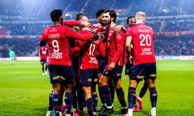 Losc 2025 2026