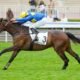Pronostic courses hippiques PMU