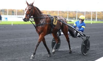 Criterium continental