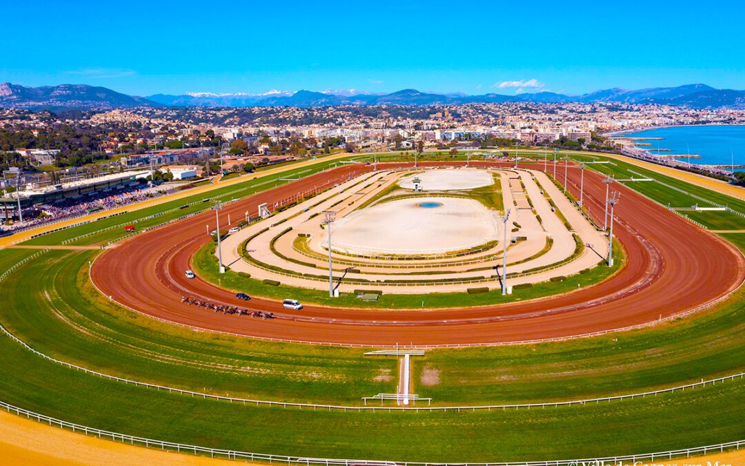 Pronostic quinté 15 décembre 2025