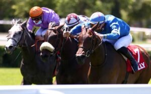 prono quinté pmu