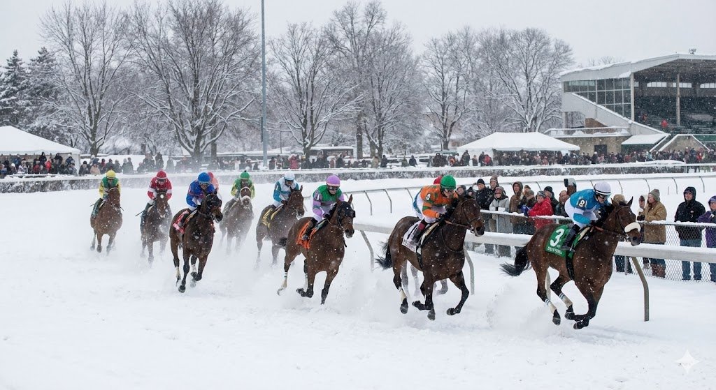pronostic quinté 26 décembre