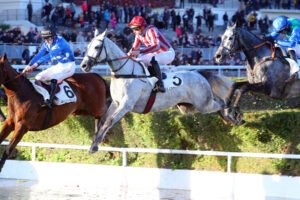 pronostic quinté 14 février