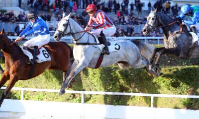 pronostic quinté 14 février