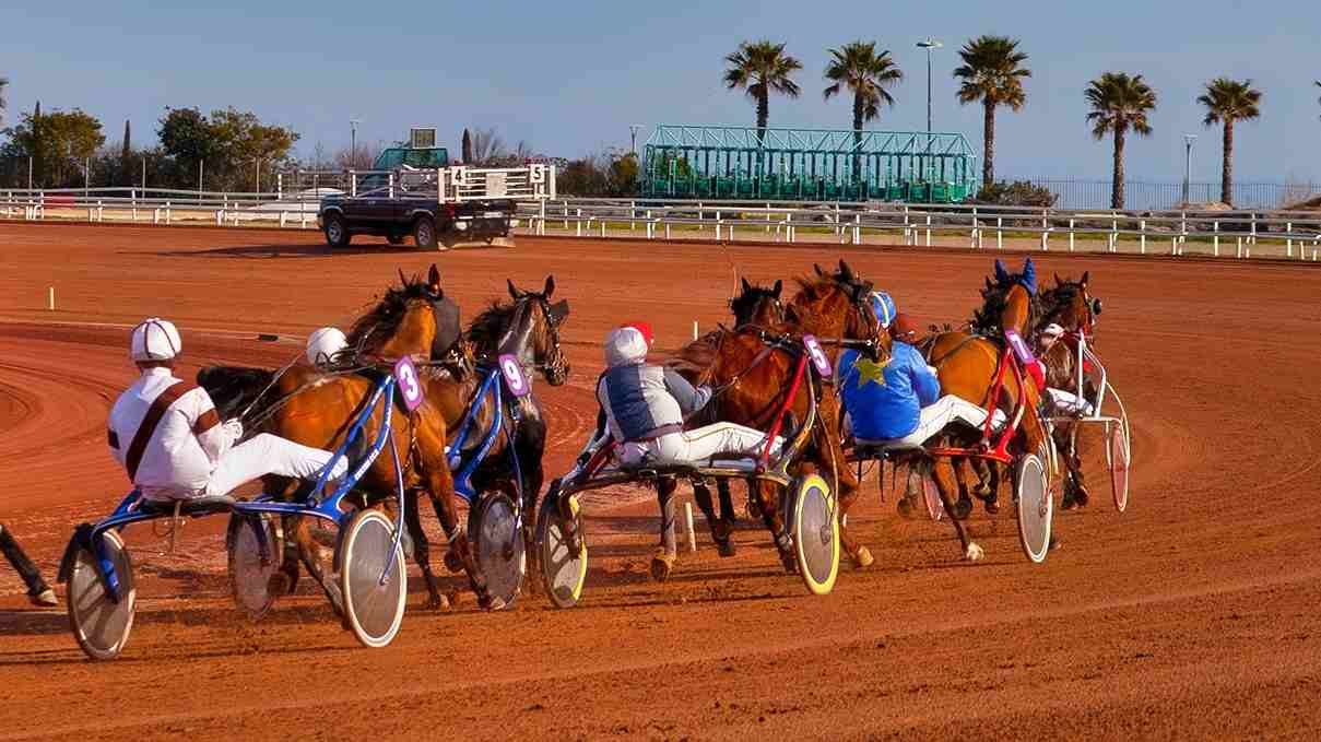 pronostic quinté cagne sur mer