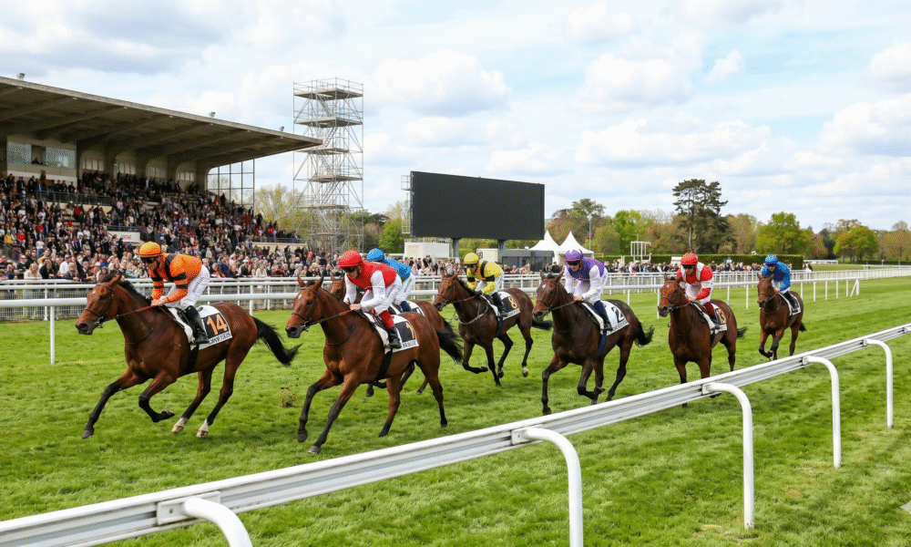 Pronostic quinté 19 avril