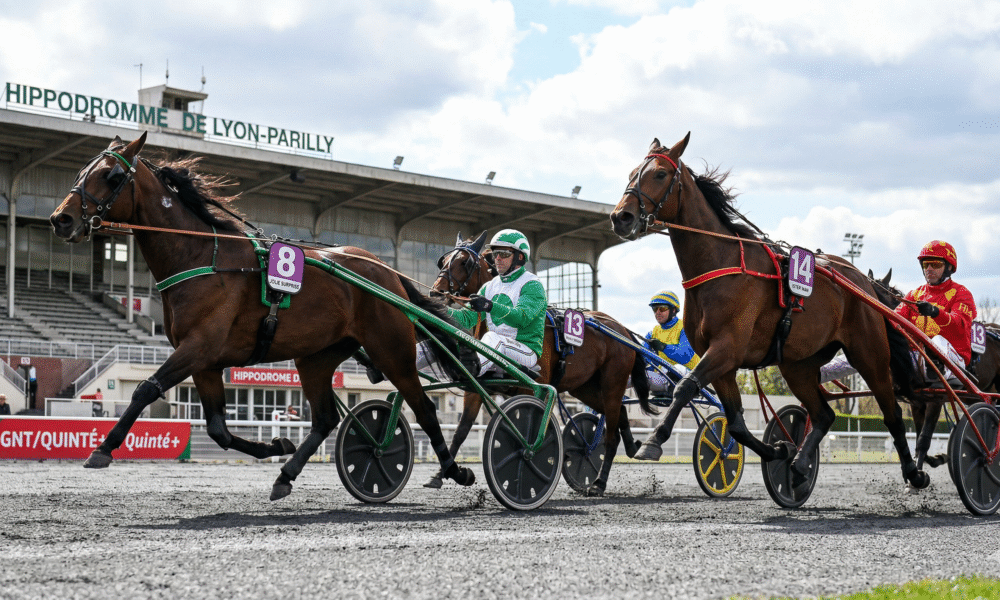 pronostic quinté 8 avril