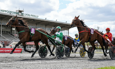 pronostic quinté 8 avril