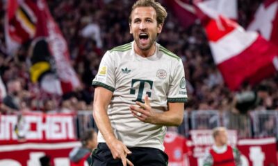 angleterre coupe du monde
