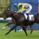 Haya Zark et Alexis Pouchin gagnent le Prix Ganay (Groupe 1) à ParisLongchamp, le 28 avril 2024