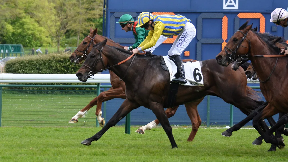 Haya Zark et Alexis Pouchin gagnent le Prix Ganay (Groupe 1) à ParisLongchamp, le 28 avril 2024