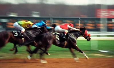 Galopeurs et jockeys à l'arrivée d'une course de plat, illustration du Quinté+ du mardi 29 septembre 2026