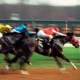 Galopeurs et jockeys à l'arrivée d'une course de plat, illustration du Quinté+ du mardi 29 septembre 2026