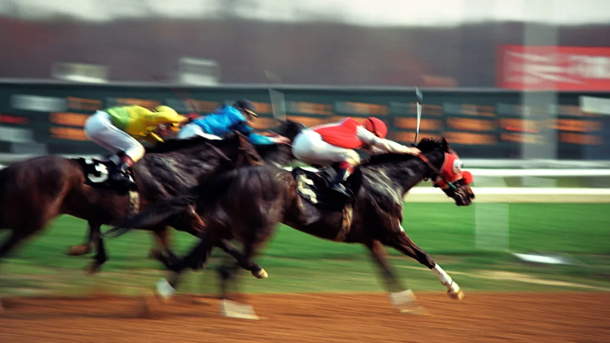 Galopeurs et jockeys à l'arrivée d'une course de plat, illustration du Quinté+ du mardi 29 septembre 2026