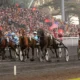 Trotteurs attelés lors du Prix d'Amérique 2012 à Vincennes, illustration du Quinté+ du lundi 28 septembre 2026