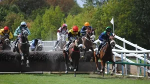 Course de haies sur l'hippodrome de la Prée à Beaupréau-en-Mauges, chevaux et jockeys au saut d'un obstacle