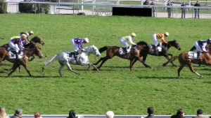Peloton de chevaux en pleine course d'obstacles sur la piste de l'hippodrome d'Auteuil, à Paris