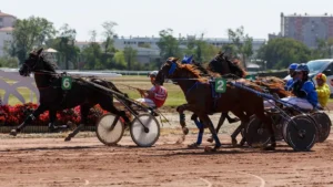 Course de trot attelé sur la piste de l'hippodrome de La Cépière, à Toulouse