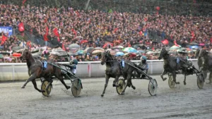 Trotteurs attelés lors du Prix d'Amérique 2014 à Vincennes, illustration du Quinté+ du vendredi 2 octobre 2026